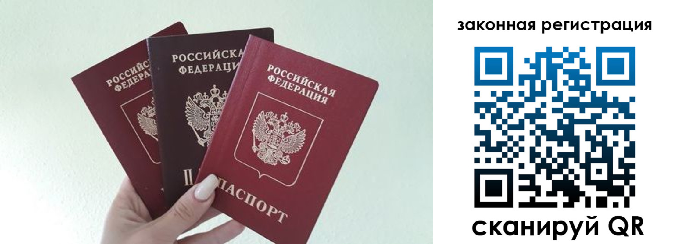 прописка 2025 в Могочи